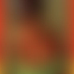 China Shangri-la : 中国人体芸術裸体写真集