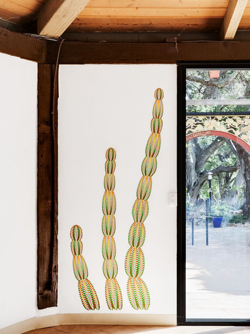 Beachball Cactus Wallpaper