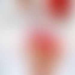 失楽園 : Rina、オトナへの決意 : 秋山莉奈写真集