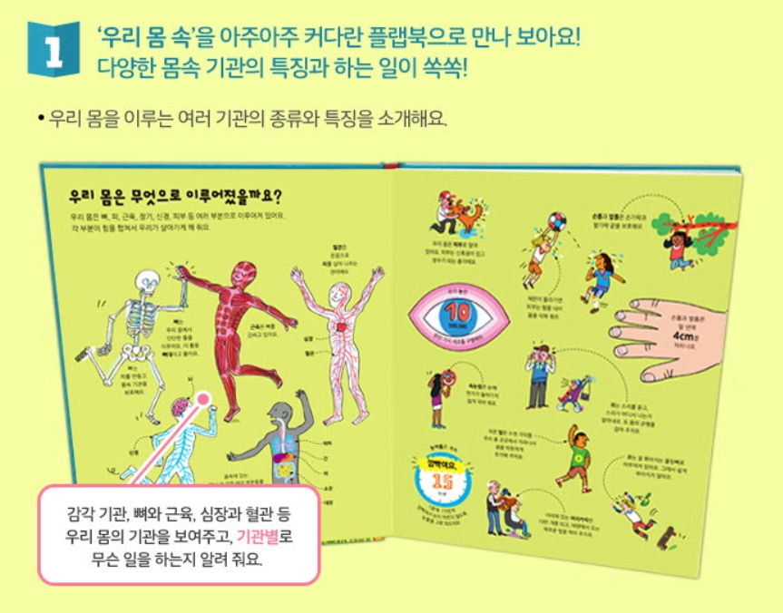 Thumbnail: 엄청나게 큰 우리 몸 백과