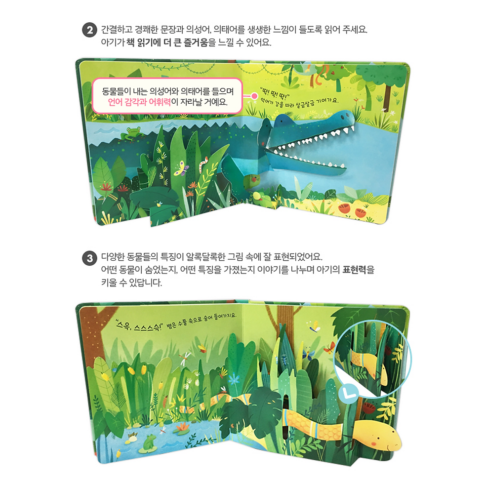 Thumbnail: 깜짝깜짝 팝업북 : 정글