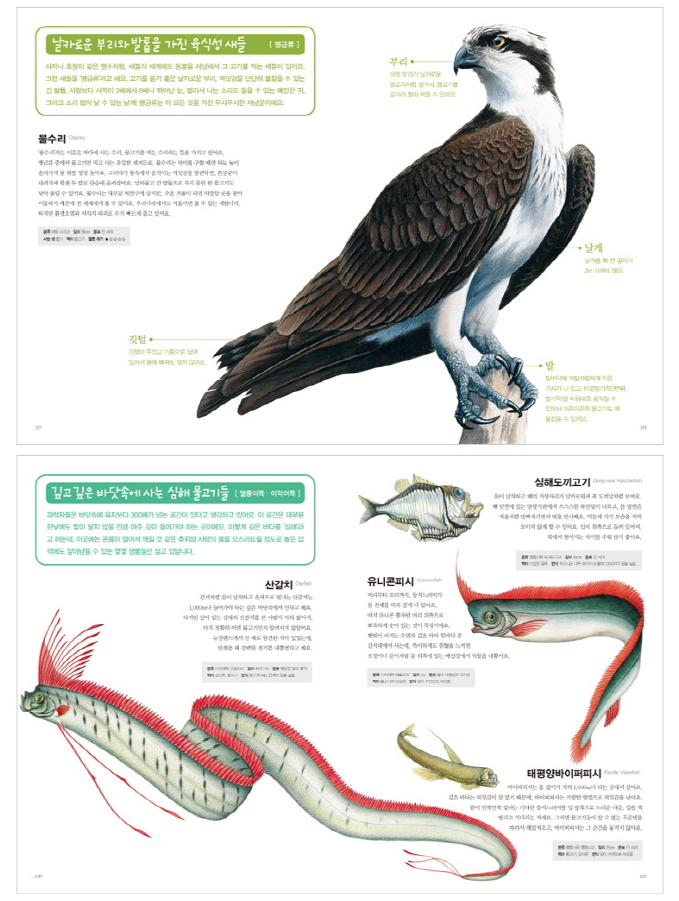 Thumbnail: 진짜진짜 재밌는 동물 그림책