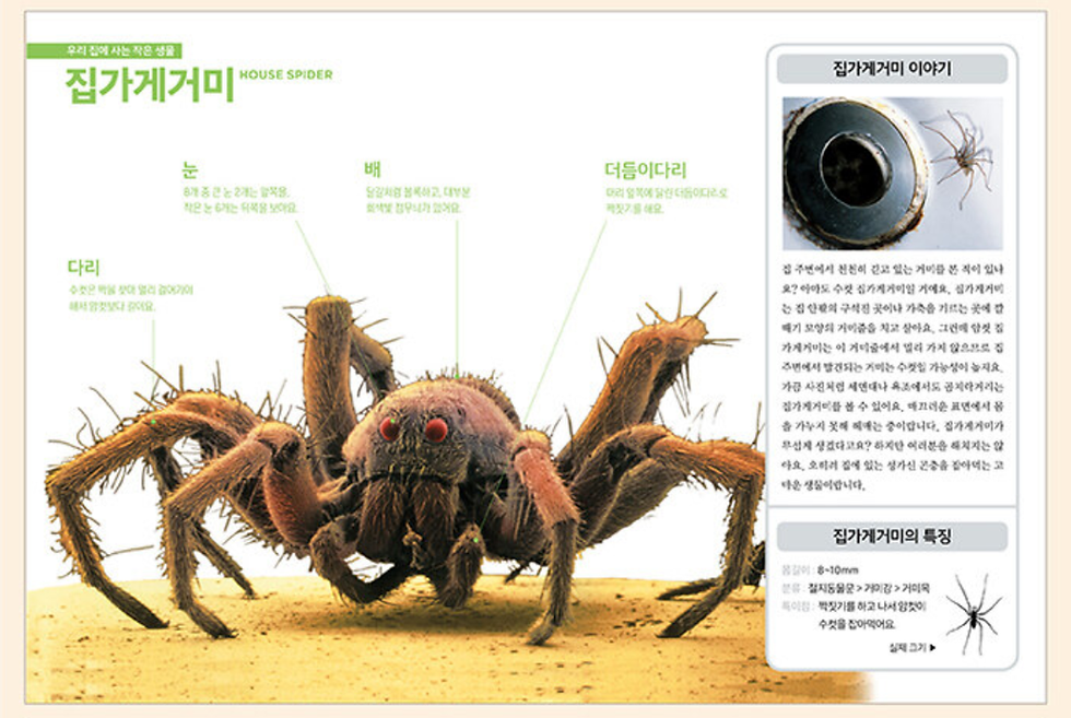 Thumbnail: 진짜진짜 재밌는 작은 생물 그림책