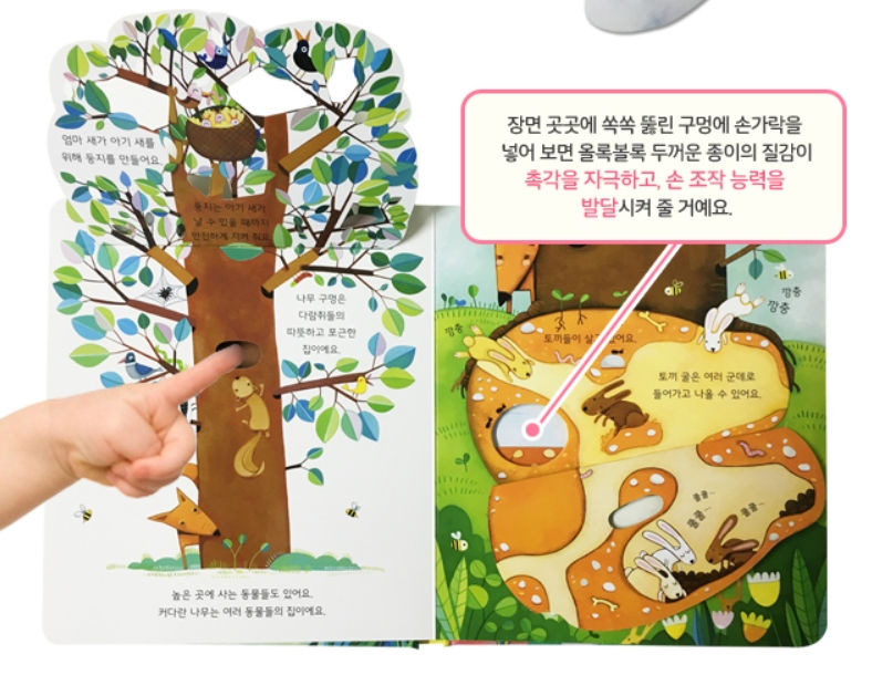 Thumbnail: 어디어디 숨었니? -여기는 동물의 집