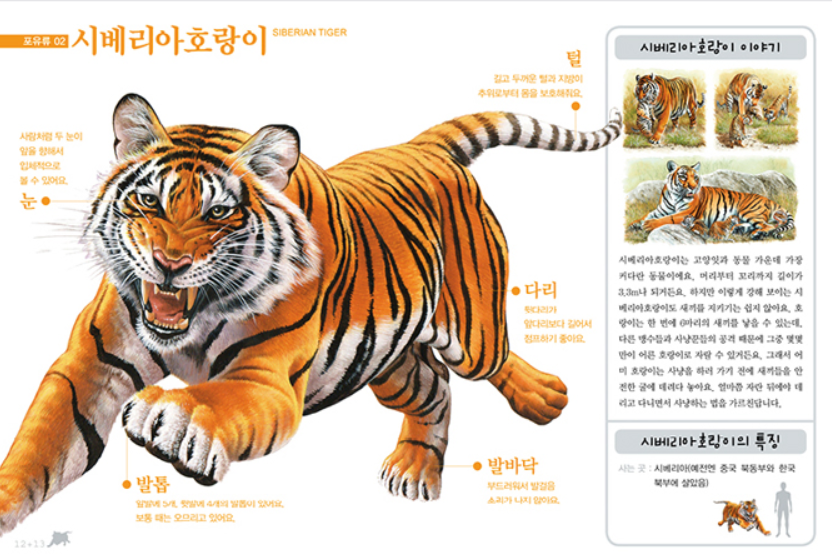 Thumbnail: 진짜진짜 재밌는 그림책 - 육식동물