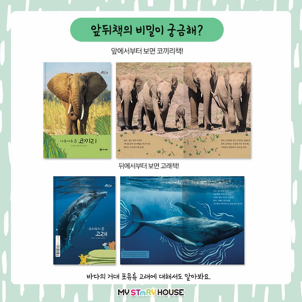 Thumbnail: 키즈스콜레 야호, 자연아
