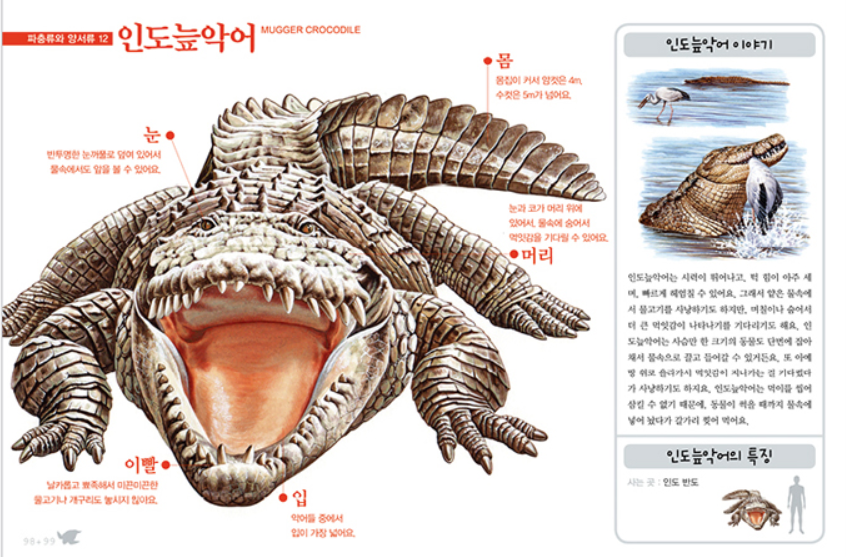 Thumbnail: 진짜진짜 재밌는 그림책 - 육식동물