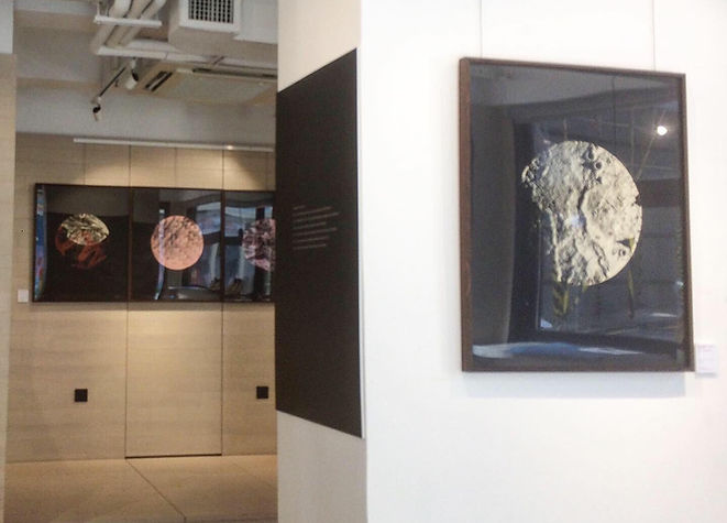 solo show screenprinting series