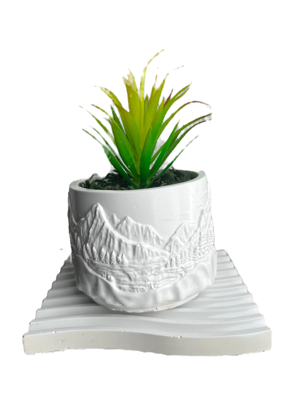 Thumbnail: Tranquil Waves