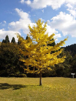 パワースポット