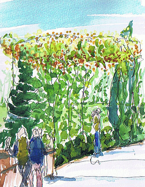 CP-B9d Chicago Botanical Garden