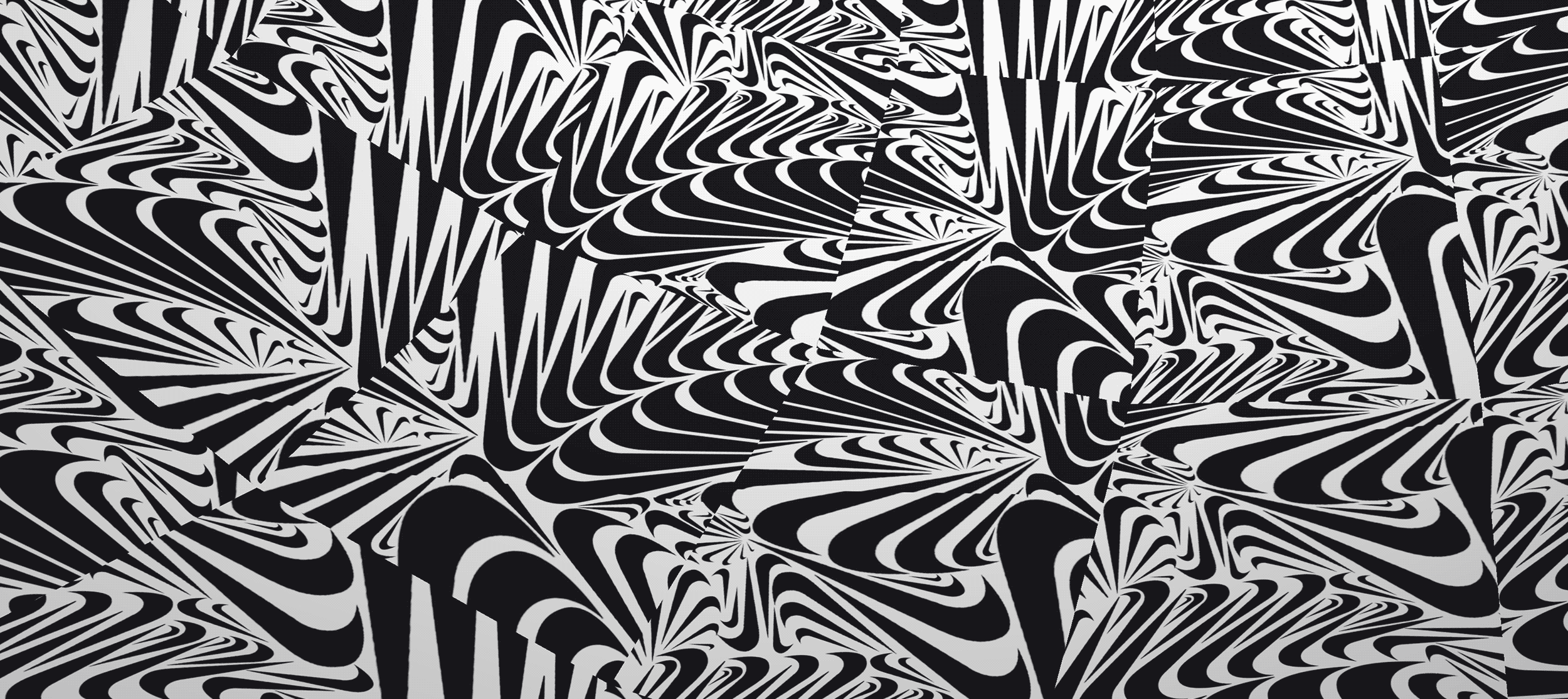 Sneaky Zebra