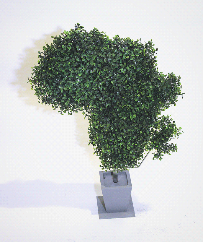 Africa Topiary