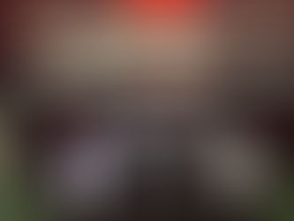 wilson grt footballs