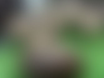 Mudded Footballs vs New Footballs: Which One Performs Better?