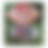 Thumbnail: Custom-Nike-Vapor-before-after-prep