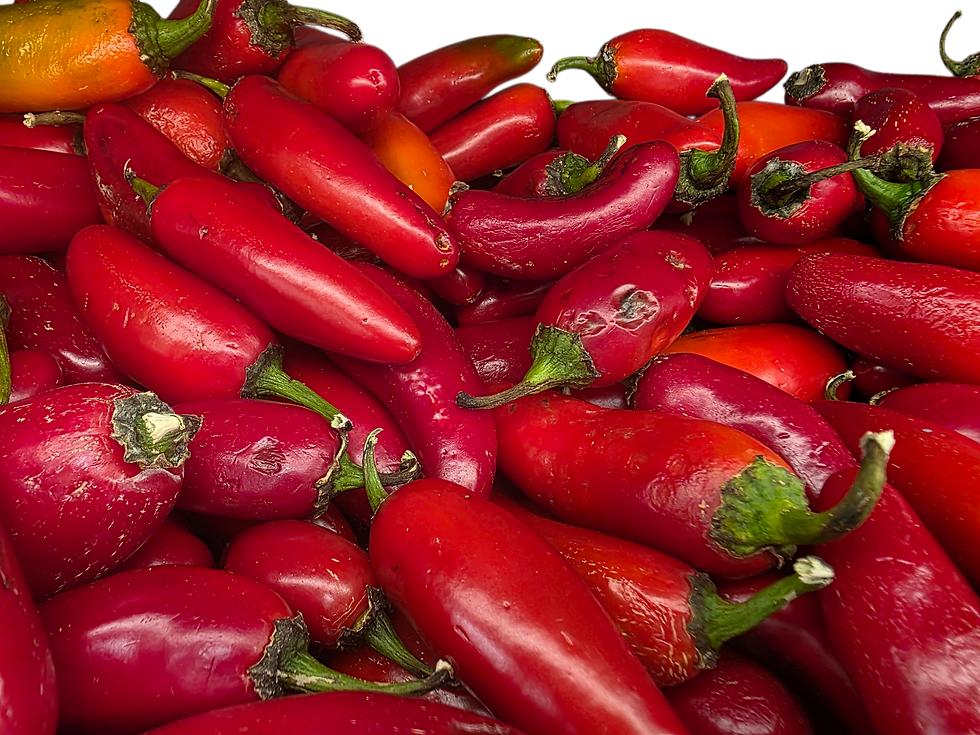 Red jalapeño pepper 5lb