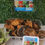 Thumbnail: Thailand fish 3pieces in bag 
