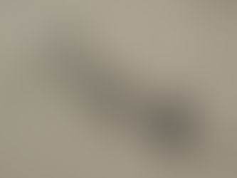 DRAWINGS & PAINTINGS: December Edition