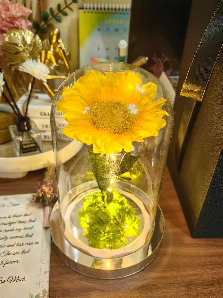 Real Preserved Sunflower with lights