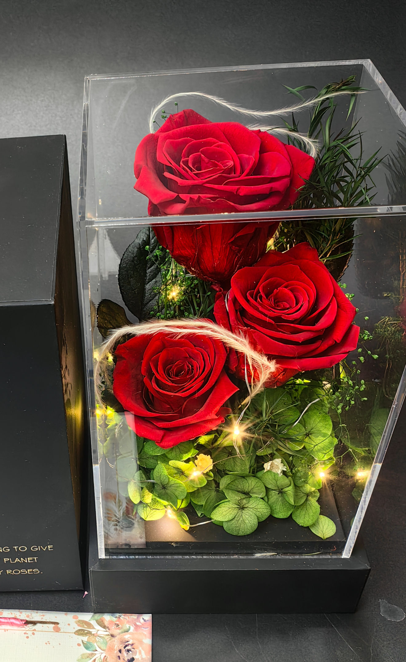 3 Pcs RED Real Preserved Rose