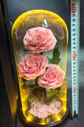 3 Pcs Ecuadorian Real Preserved Rose | Verose La Fleur