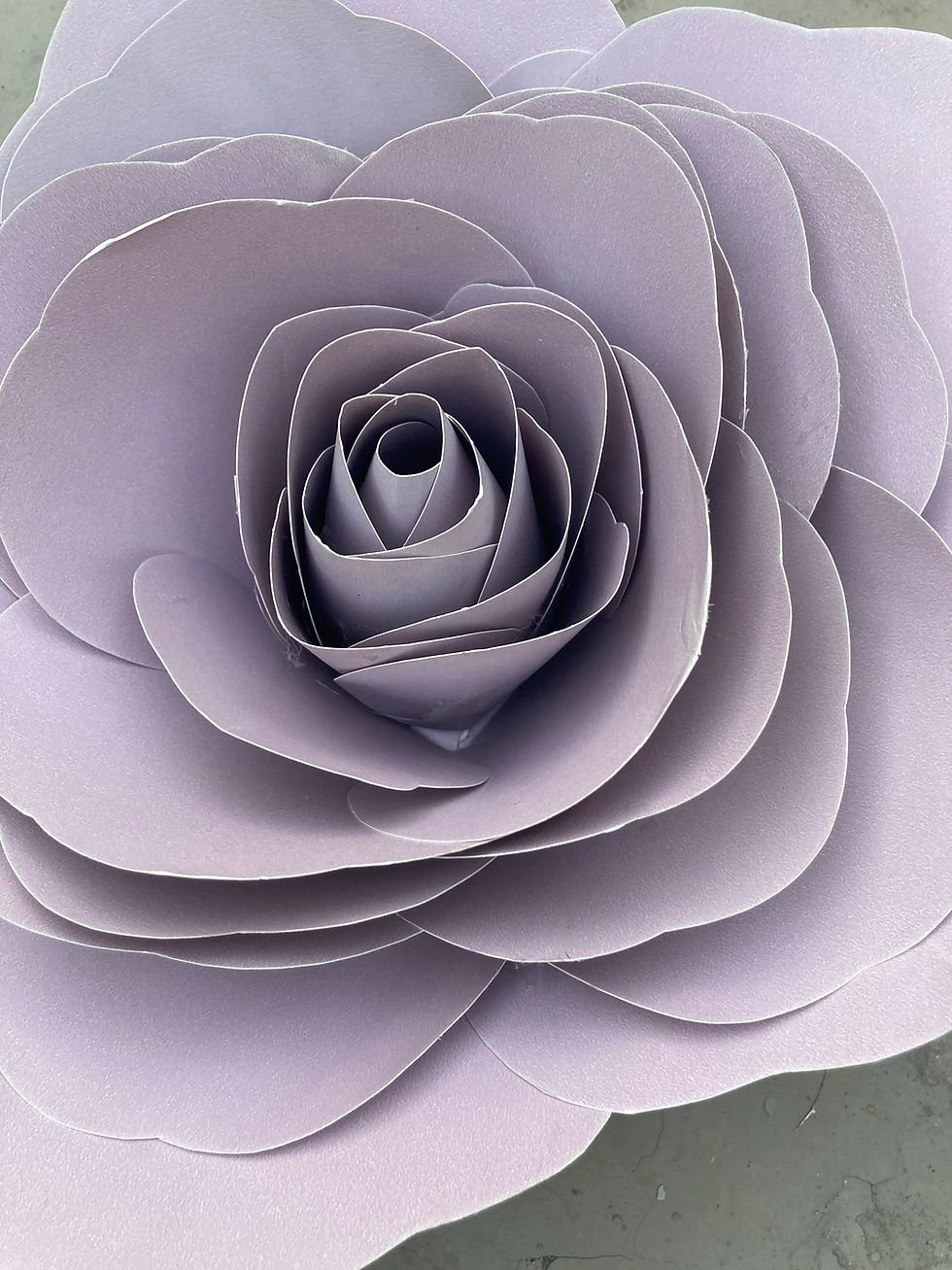 Thumbnail: Mauve rose 
