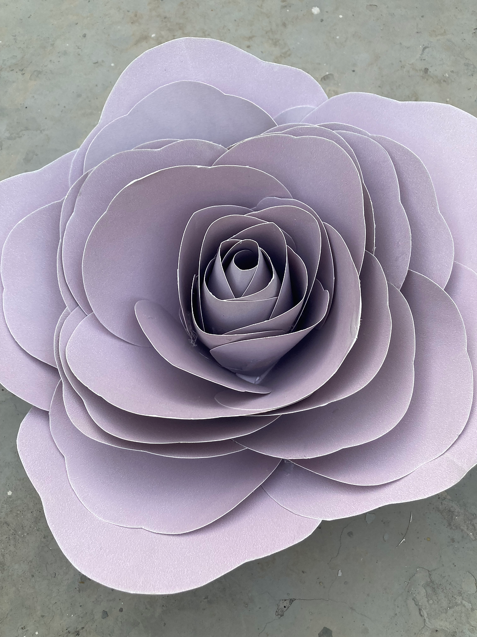 Thumbnail: Mauve rose 