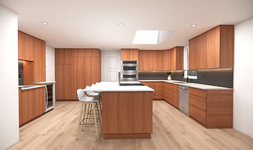 Render-1 (1)_edited.jpg