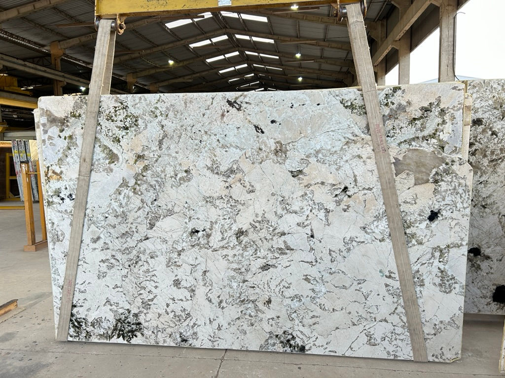 Alphinus White (6).jpeg