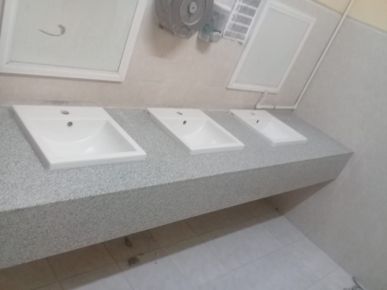 Grissal brasileño Ipanea (1).jpg