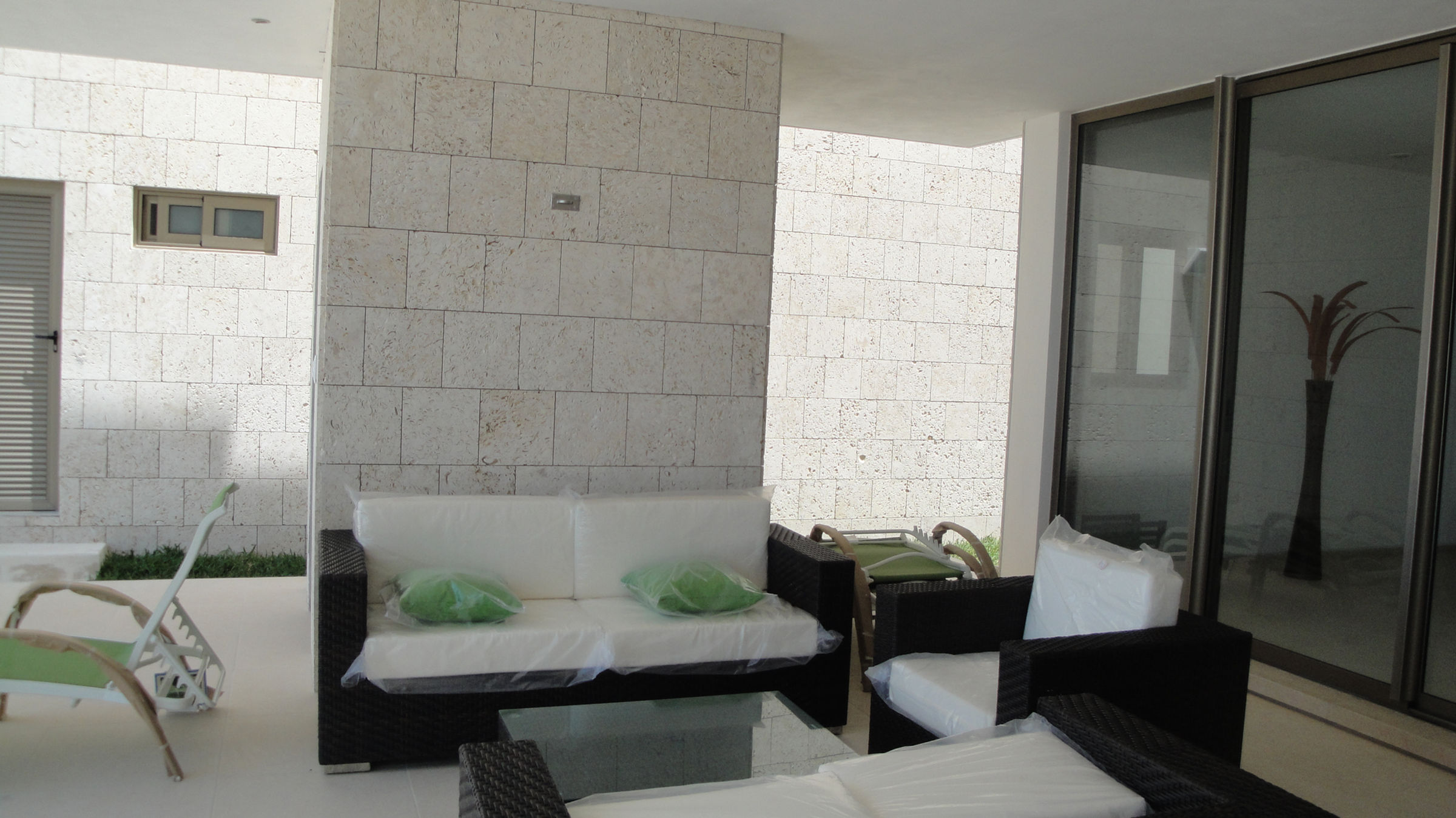 conchuela fosil 2.JPG