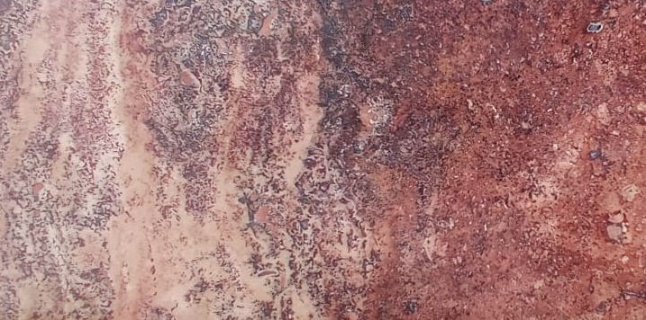 TRAVERTINO ROJO A LA VETA_edited.jpg