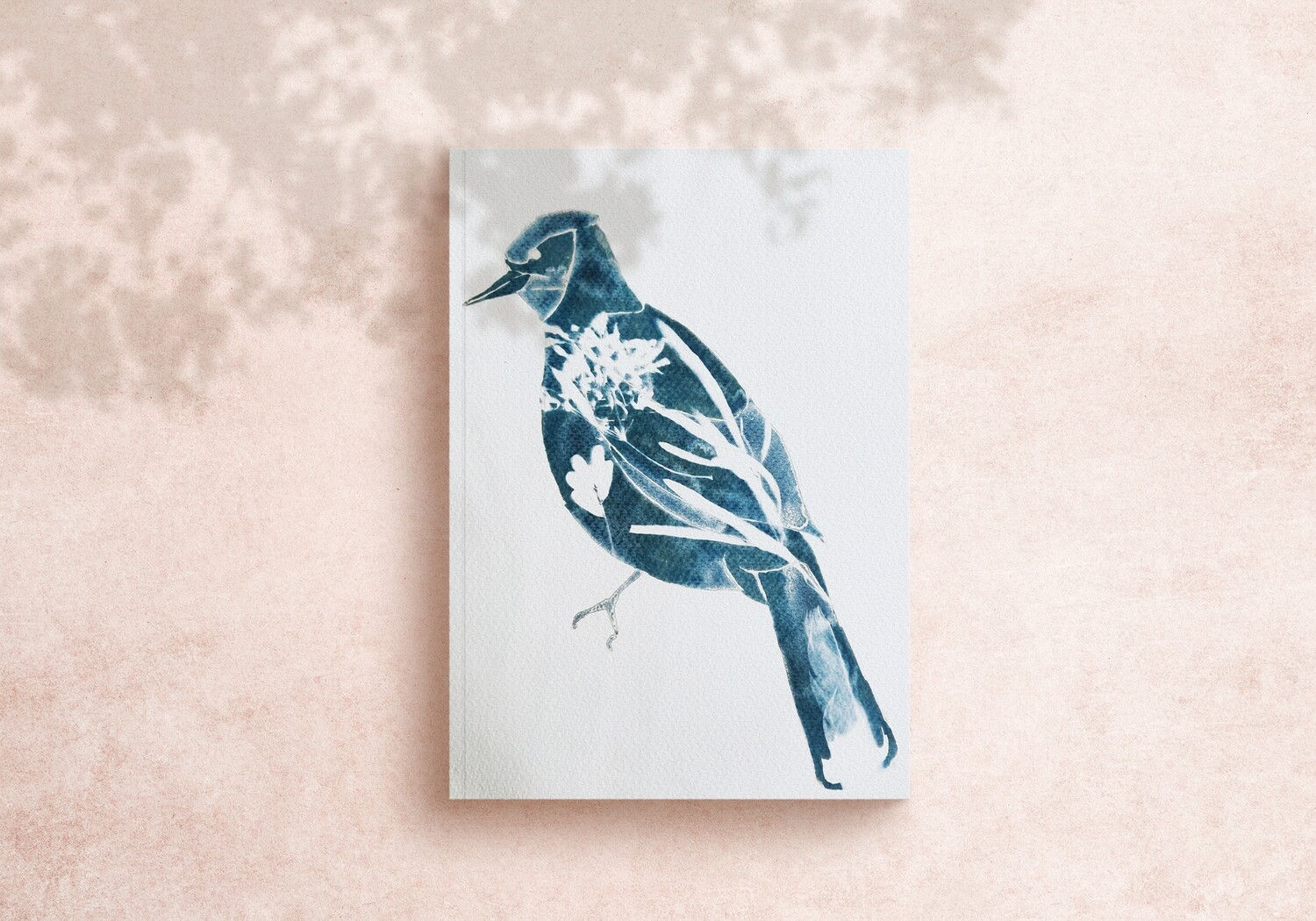 Eurasian Jay cyanotype