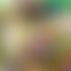 event planner, mardi gras event planner, mardi gras party mardigras, orange beach event planner, gulf shores event planner, gulf shores florsit, orange beach florist, foley florist, fairhope event planner, fairhope florist, florist, flowers, event decor, event design, event rentals, party planning, party planner, event party rentals