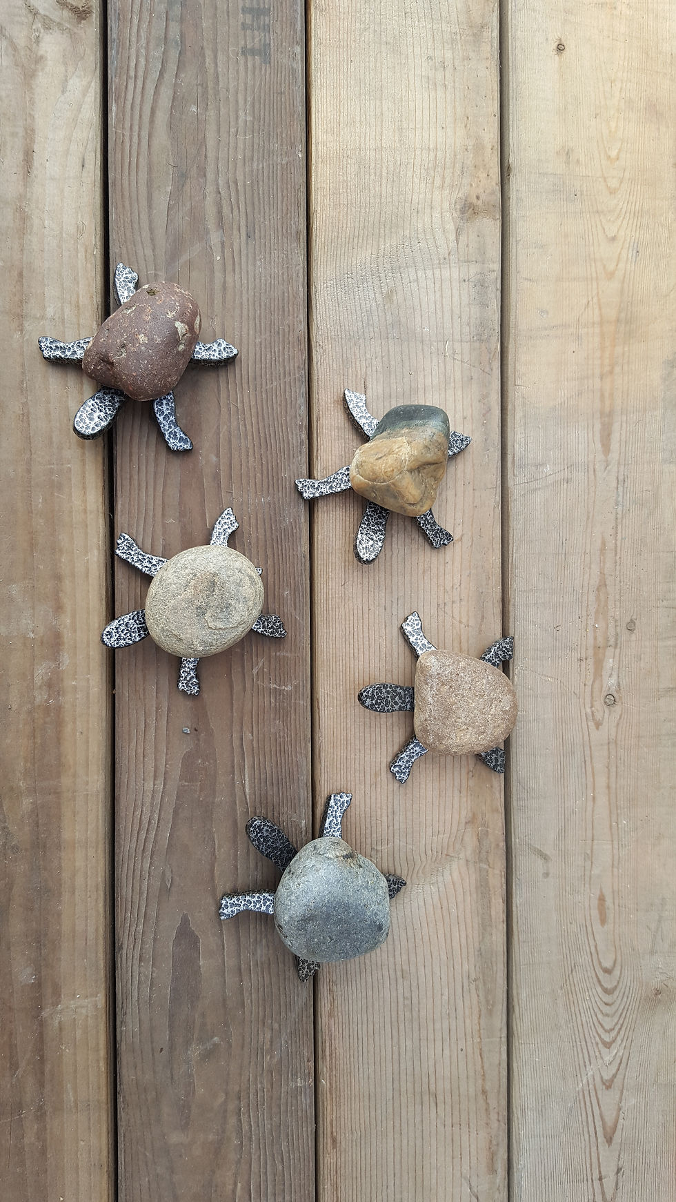 Thumbnail: TURTLES