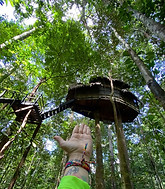 Casa en el arbol.jpeg