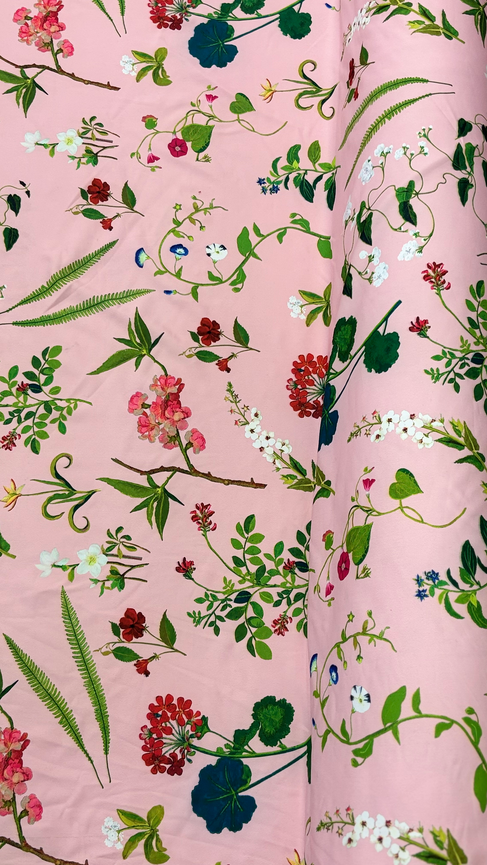 Miniatura: Lycra com flores variadas