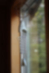 IMG_5625.JPG