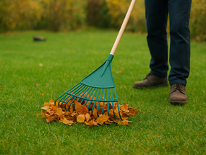 Préparer son terrain avant l’hiver : soins essentiels pour une pelouse résistante.