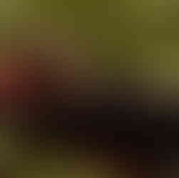 Prendre soin de son corps en s'accordant des pauses, femme qui dort au soleil