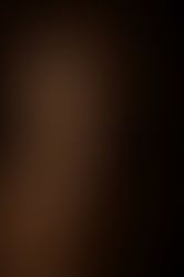 Les archétypes : Nos deux facettes