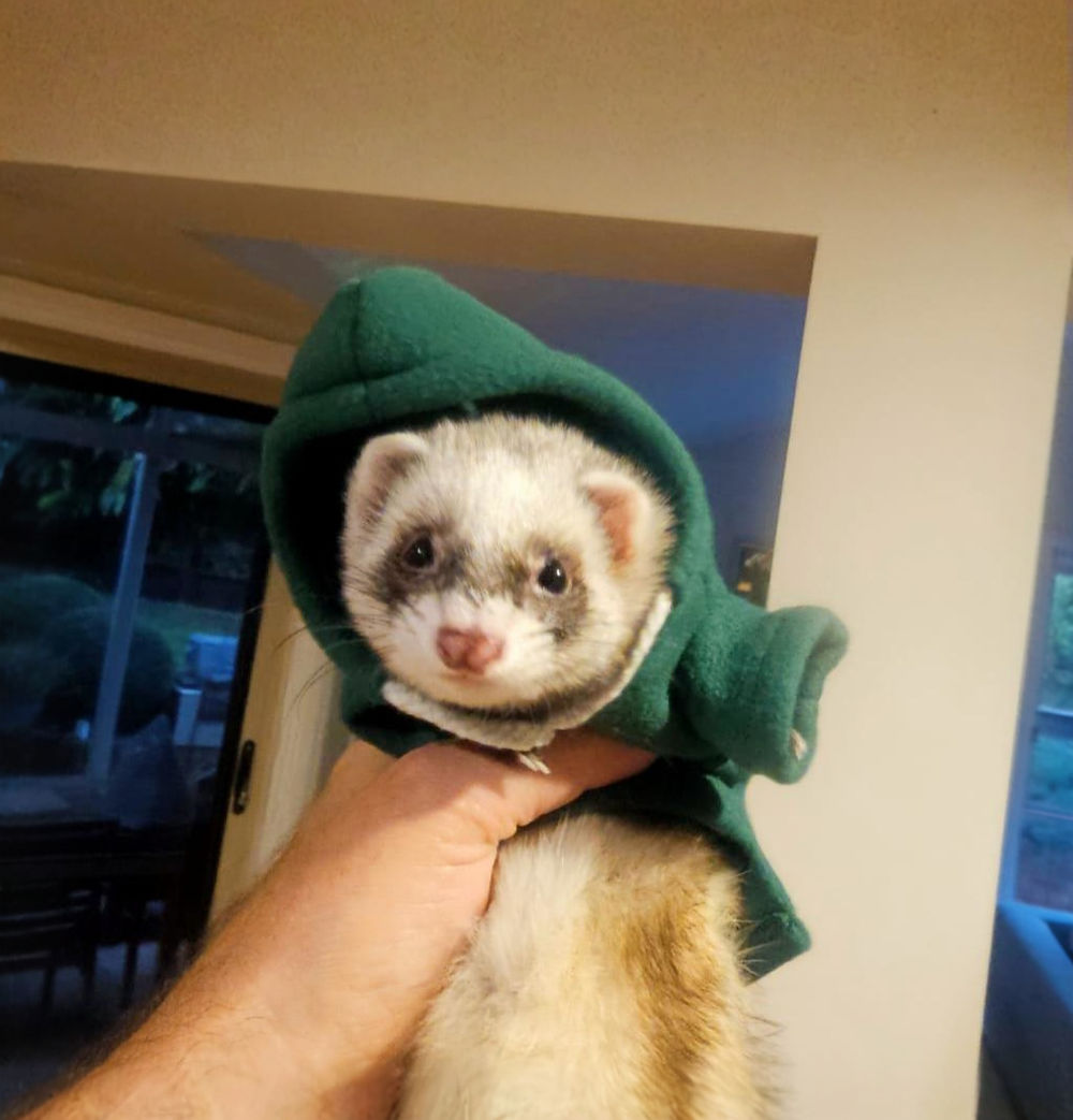 Mindy wearing her new winter coat (for 5 seconds)