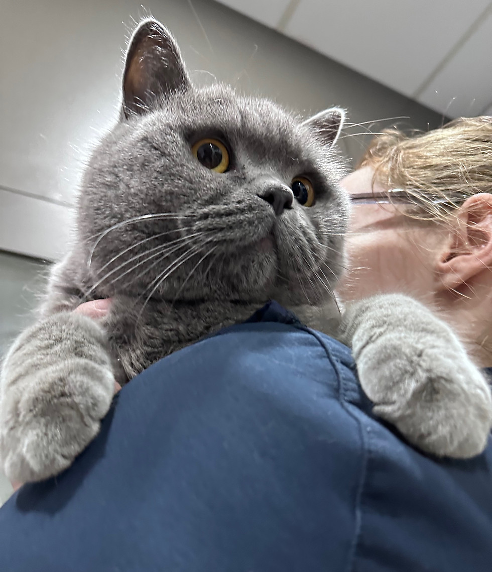 Bobbi was very brave for his vaccinations