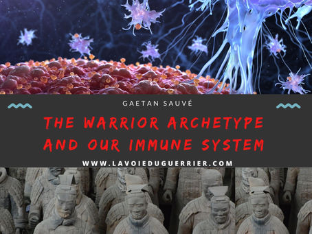 The warrior archetype and our immune system