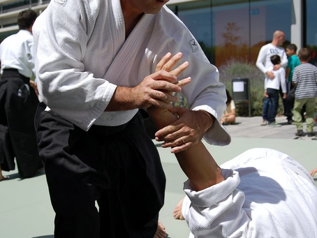 Gagner sans se battre. Le principe ultime des arts martiaux.