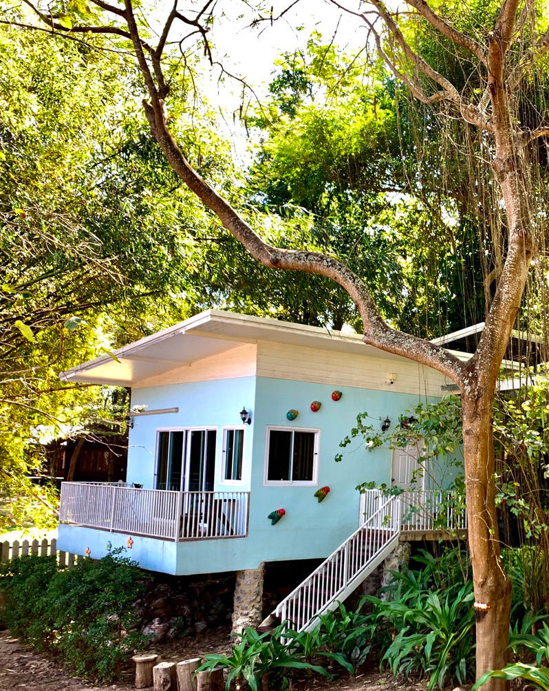 Blue Color cottage