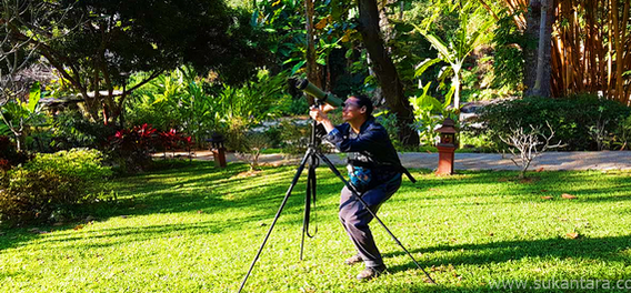 Bird Watching
