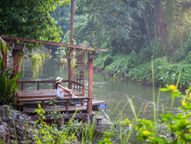 บรรยากาศภายใน วอเตอร์มิลล์ รีสอร์ท (Watermill Resort) ปากช่อง