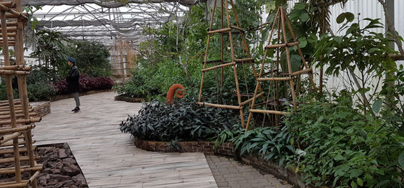 Queen Sirikit Botanic Garden